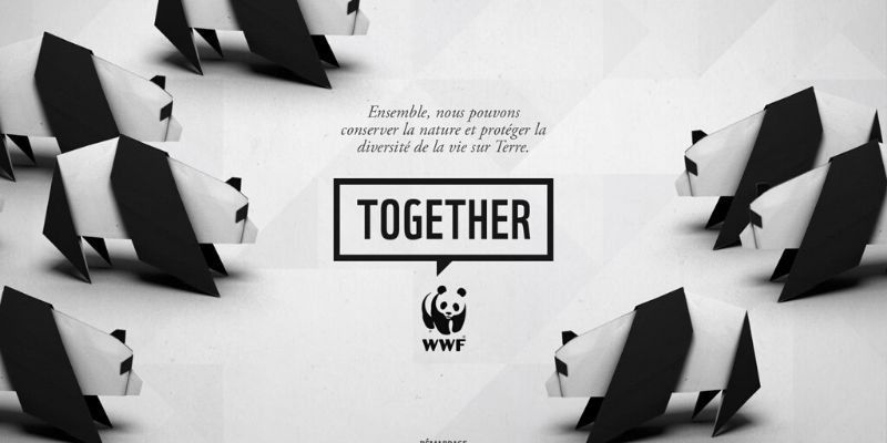 wwf together application sur les animaux en voie de disparition