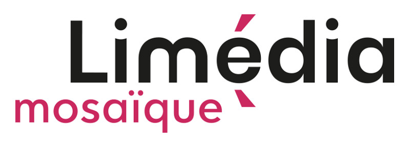 LIMEDIA MOSAIQUE logo RVB